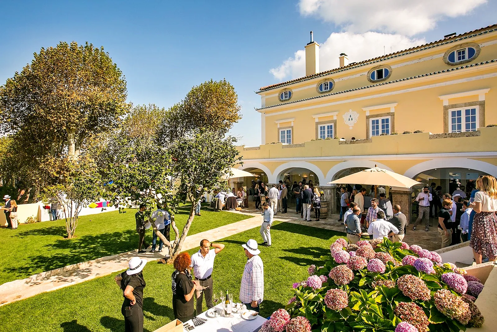 Casal Santa Maria - Quinta vitivinícola e espaço para eventos