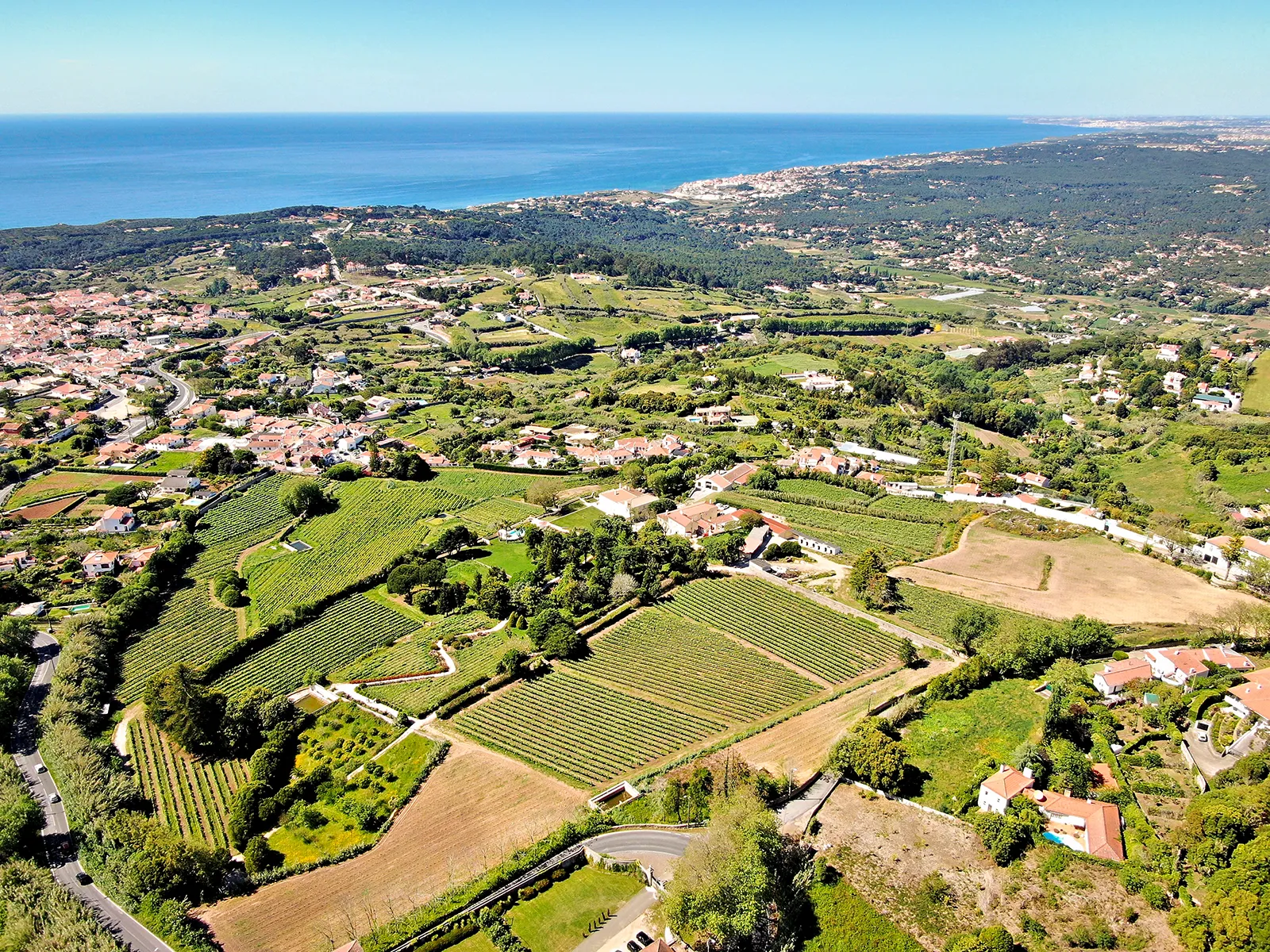 Casal Santa Maria - Quinta vitivinícola e espaço para eventos